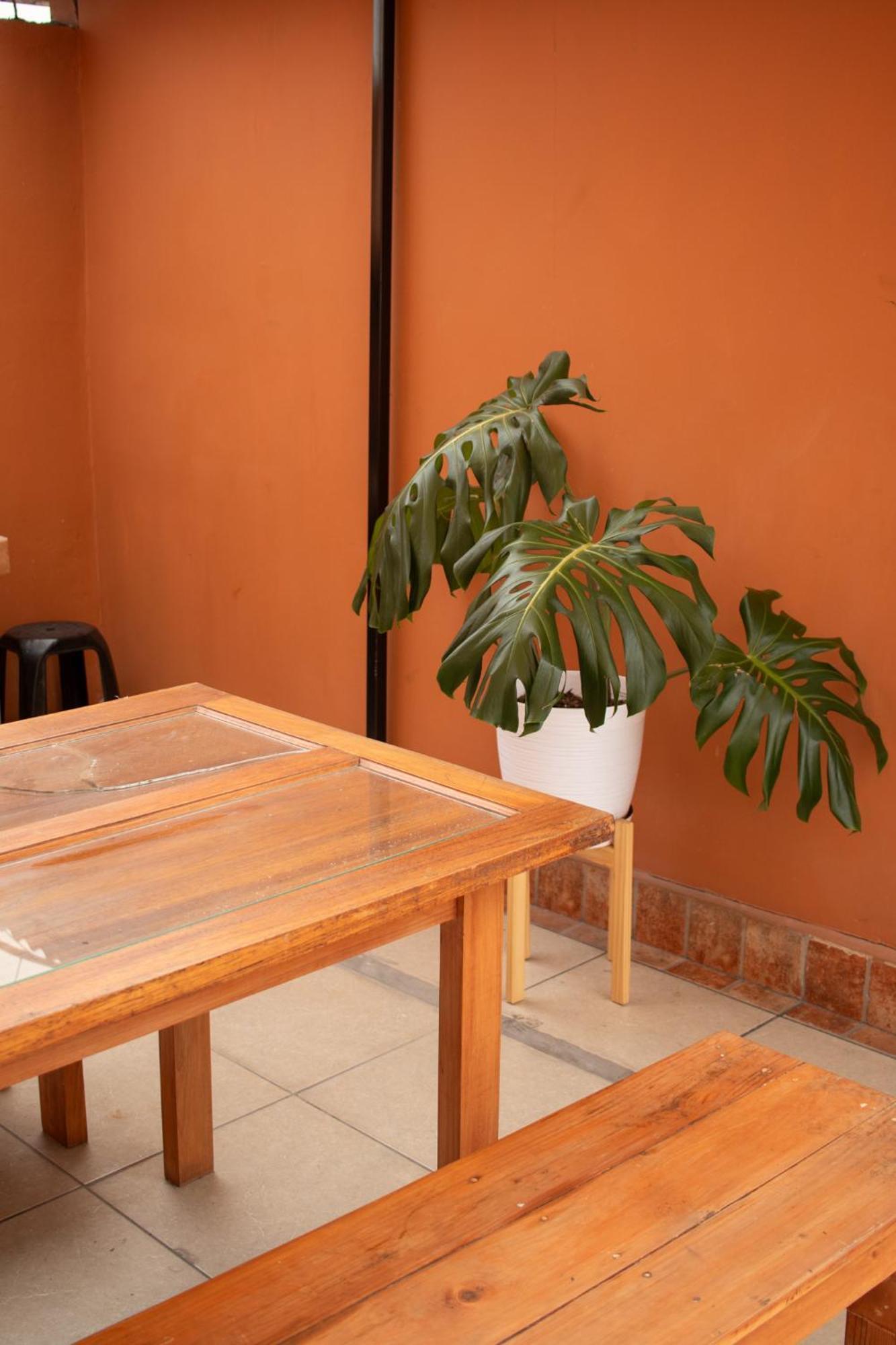 Temazcal Hostel Lima Luaran gambar